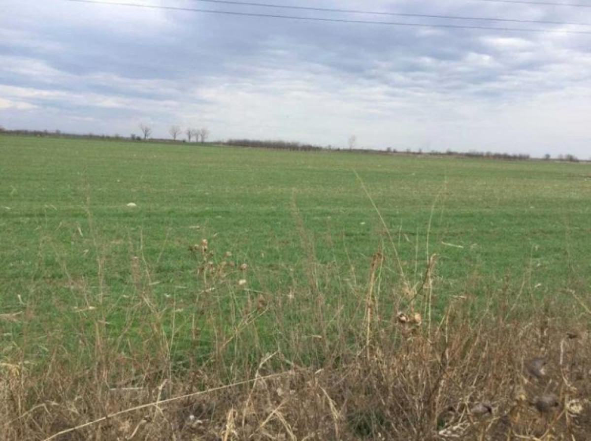 Продажба Земеделска земя гр. Русе - с. Червена вода 10300m²