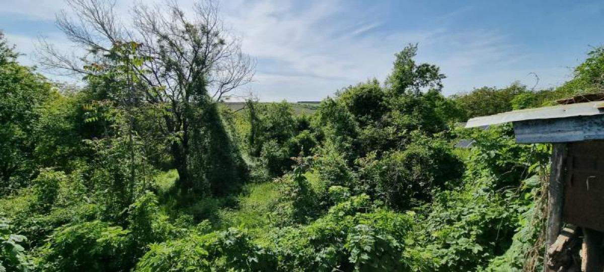 Продажба Парцел гр. Русе - с. Ново село 3000m²