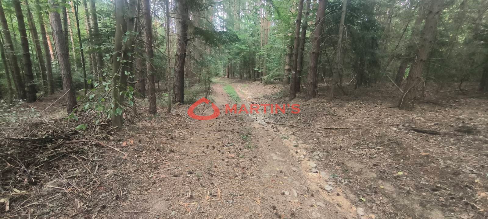 Парцел за продажба в с. Горни Окол, Самоков